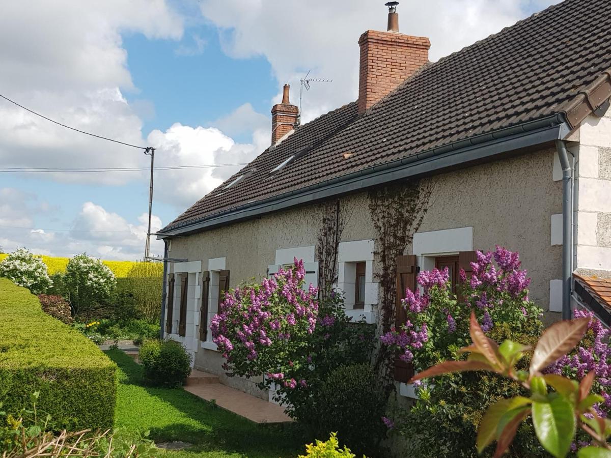 Chambres D'Hotes Anne-Marie Chatillon-sur-Indre Exterior photo
